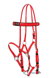 Zilco Red / Red Zilco Deluxe Endurance Bridle Complete - Arab