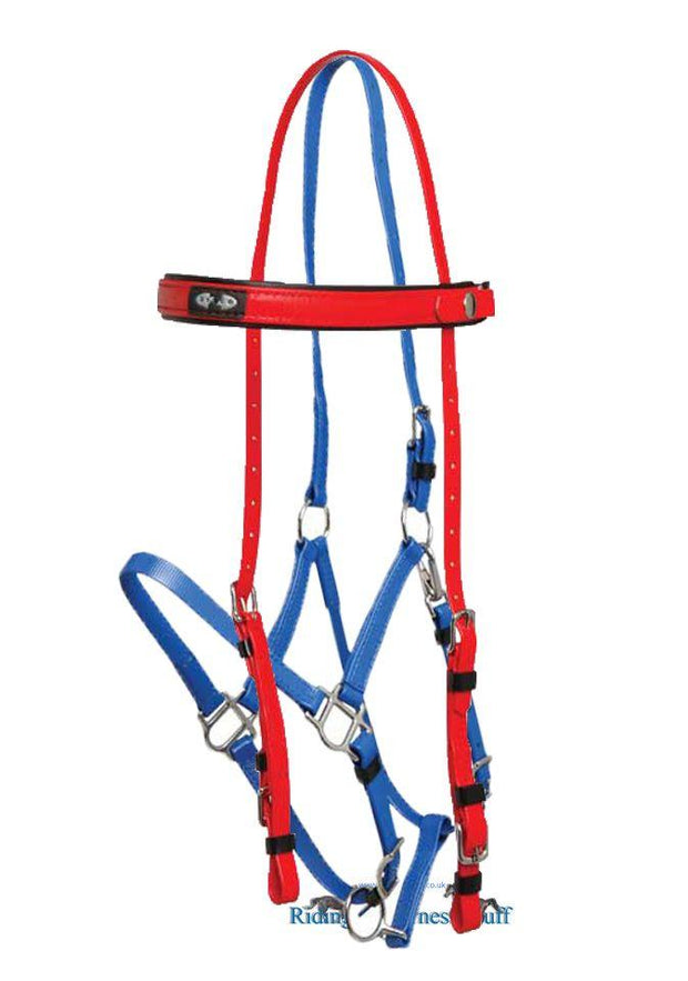 Zilco Red / Royal Zilco Deluxe Endurance Bridle Complete - Arab