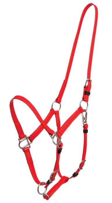 Zilco Bridle Red Zilco Deluxe Endurance Bridle 2 Part Stainless Steel Fitting - Halter Part