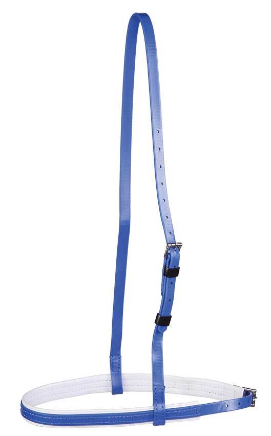 Zilco Royal Blue/White Trim Zilco Race Cavesson Noseband