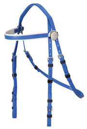 Zilco Royal Blue/White Trim Zilco Rosette Race Bridle