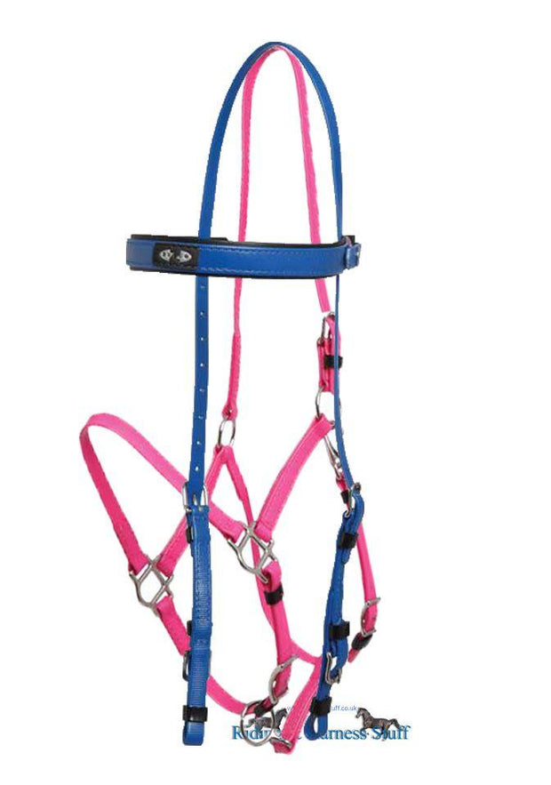 Zilco Royal / Cerise Zilco Deluxe Endurance Bridle Complete - Arab