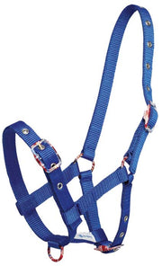 Zilco Headcollar Royal Foal Halter (Fancy Buckle)