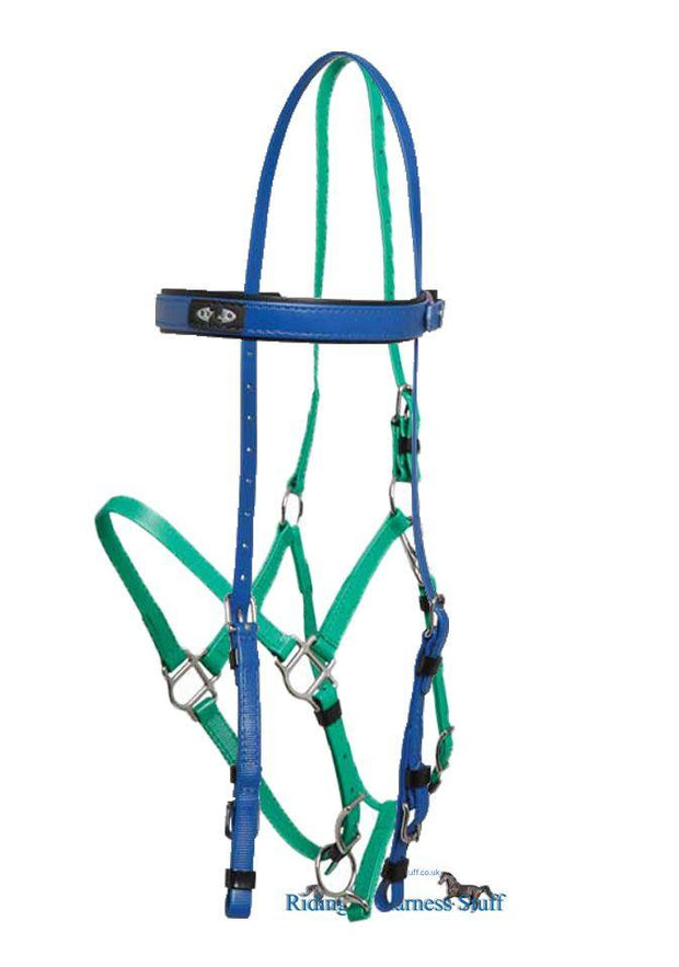 Zilco Royal / Light Green Zilco Deluxe Endurance Bridle Complete - Arab