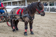 Zilco Driving Harness Shetland / Fixed Zilco SL Harness Single Shetland and Small Pony - with Empathy Breastplate