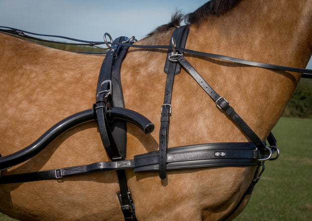 Zilco Driving Harness SL Plus Combo Breastplate