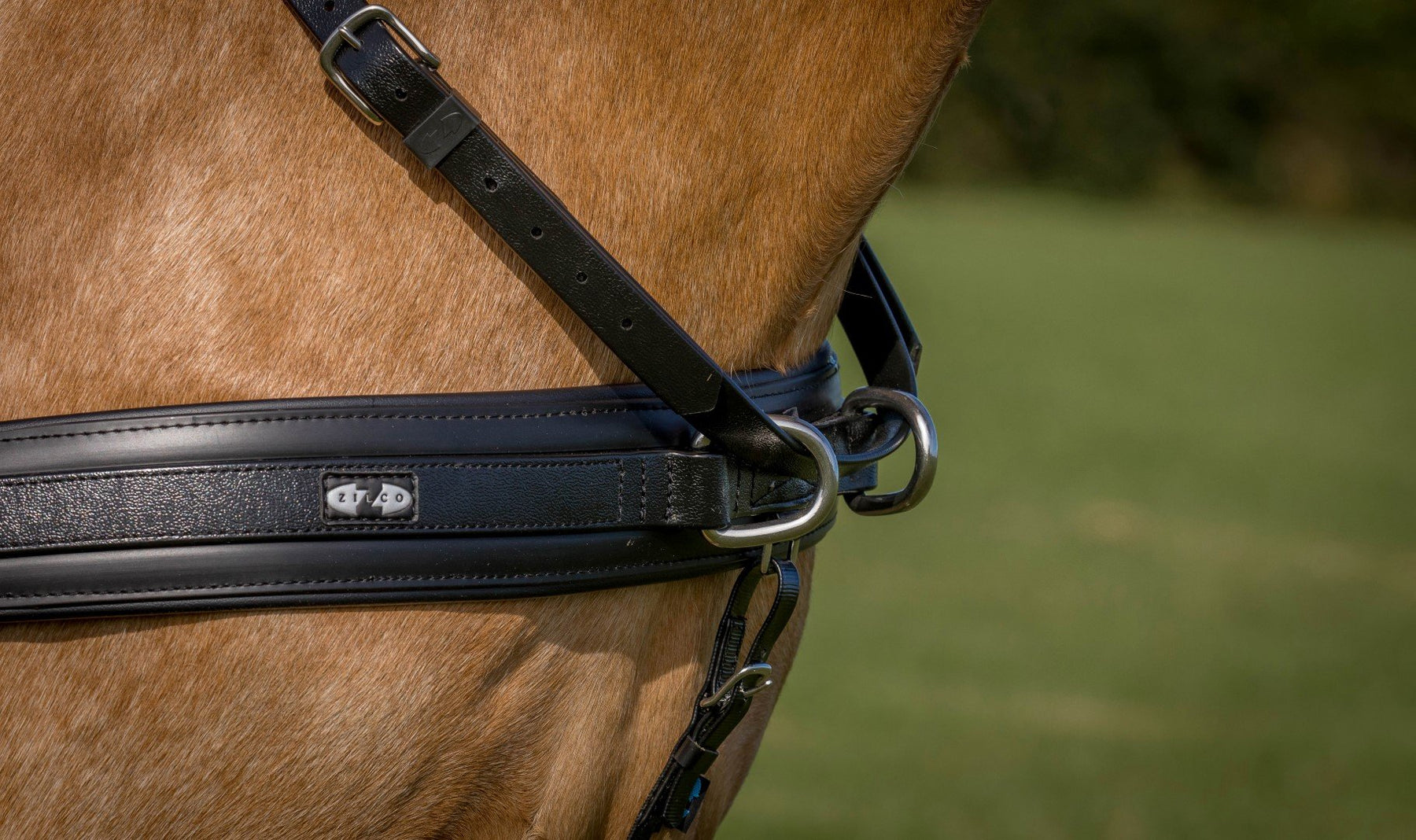 Driving Breastplates & Collars Riding & Harness Stuff