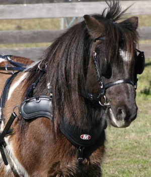 Zilco Driving Harness SL Sportz Single Harness - Shetland