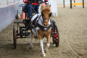 Zilco Driving Harness Small Pony / Fixed Zilco SL Harness Single Shetland and Small Pony - with Empathy Breastplate