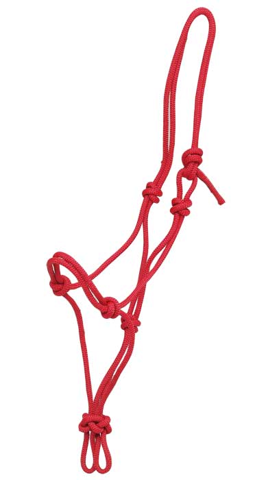 Zilco Headcollar Small / Red Knotted Halter