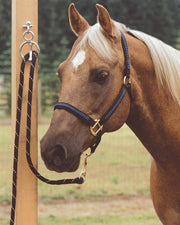 Zilco Lead Rope Tie Ring Blocker II