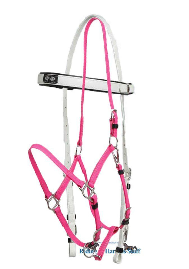 Zilco White / Cerise Zilco Deluxe Endurance Bridle Complete - Arab