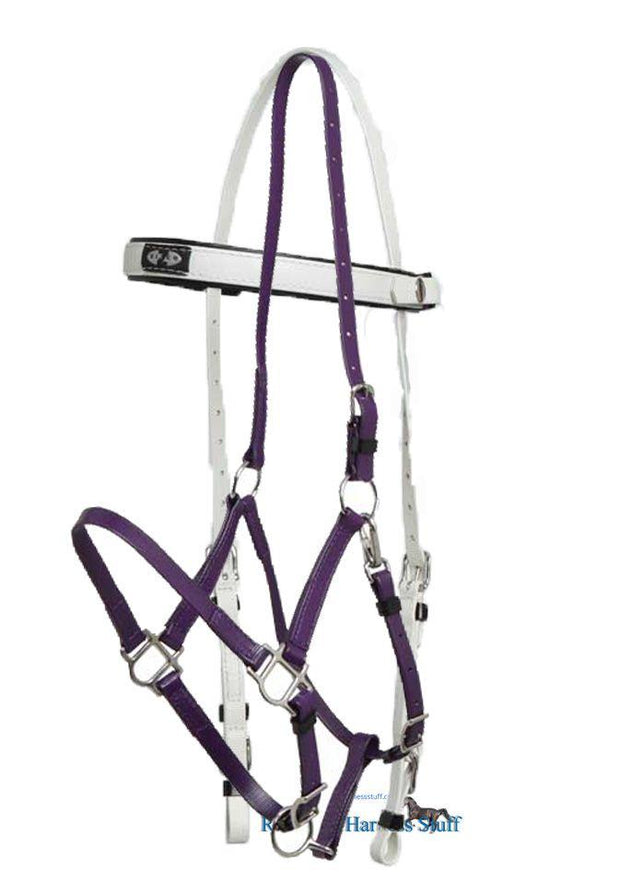 Zilco White / Purple Zilco Deluxe Endurance Bridle Complete - Arab