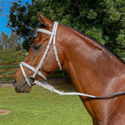 Zilco Bridle White/White / Pony Zilco Hanoverian Bridle