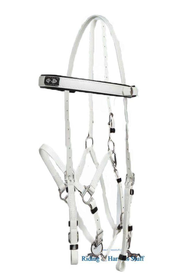 Zilco White / White Zilco Deluxe Endurance Bridle Complete - Arab