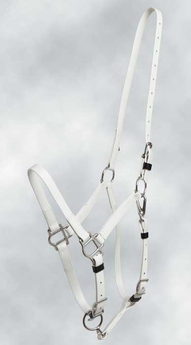 Zilco Bridle White Zilco Deluxe Endurance Bridle 2 Part Stainless Steel Fitting - Halter Part