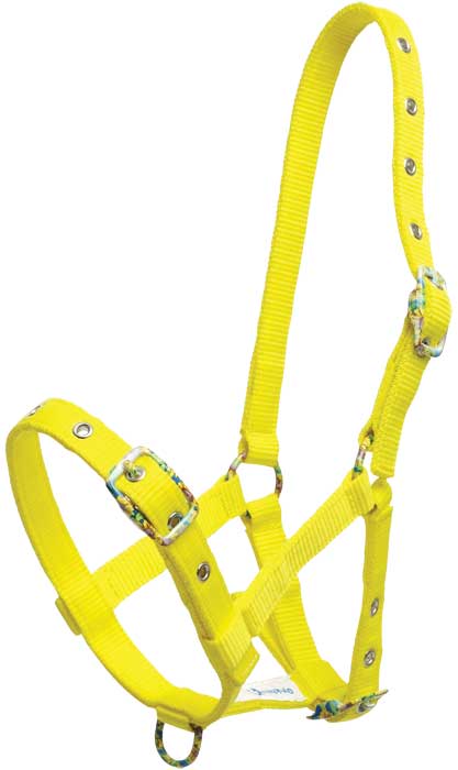 Zilco Headcollar Yellow Foal Halter (Fancy Buckle)