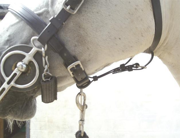 Zilco Driving Harness Zilco Bridle Gullet Safety Strap