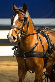 Zilco Driving Harness Zilco Bridle Half Cup Dolly Varden Blinkers