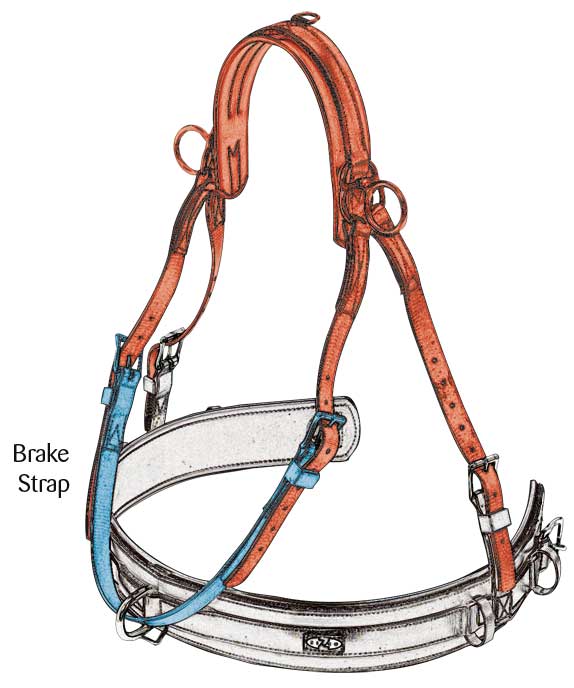 Zilco Driving Harness Zilco Classic, Elite, ZGB, Empathy  Brake Strap