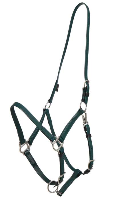 Zilco Bridle Zilco Deluxe Endurance Bridle 2 Part Stainless Steel Fitting - Halter Part