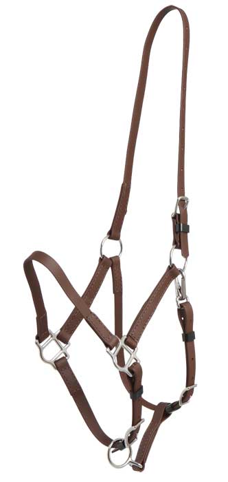 Zilco Bridle Zilco Deluxe Endurance Bridle 2 Part Stainless Steel Fitting - Halter Part
