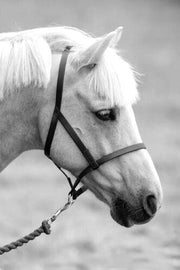 Zilco Driving Harness Zilco Driving Underhalter