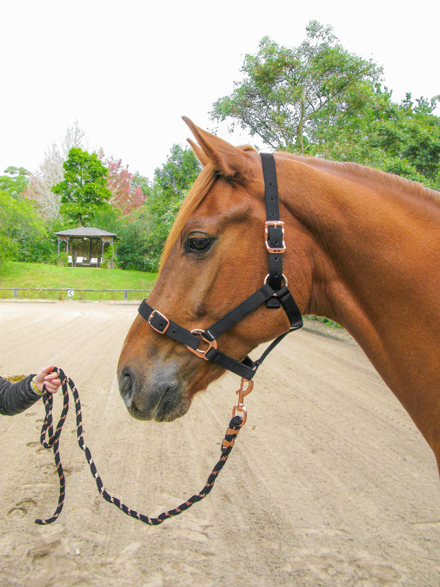 Zilco Headcollar Zilco Estate Headcollar