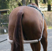 Zilco Zilco Lunge Training System