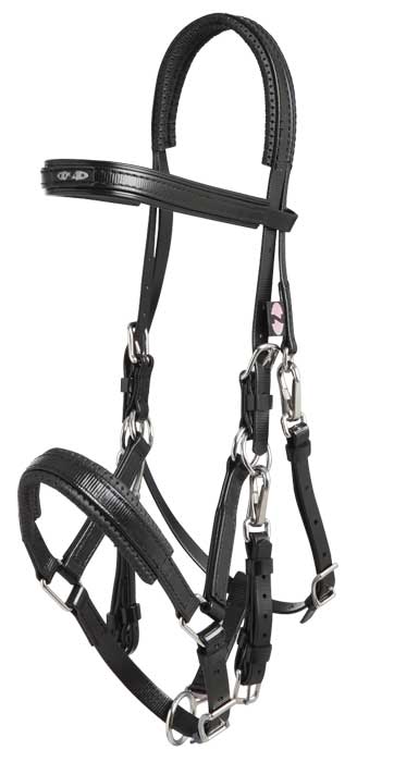 Zilco Bridle Zilco Marathon Endurance Set Arab Size