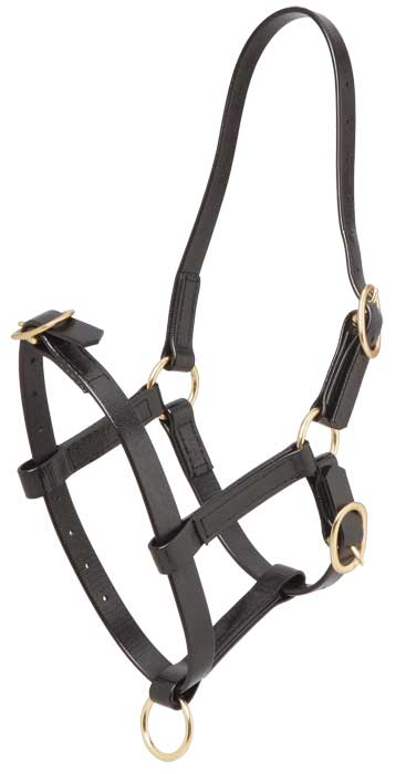 Zilco Headcollar Zilco PN Foal Halter