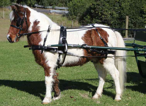 Zilco Driving Harness Zilco SL Harness Single Mini, Shetland and Small Pony - Fixed Backband