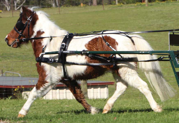 Zilco Driving Harness Zilco SL Harness Single Mini, Shetland and Small Pony - Fixed Backband