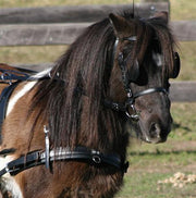 Zilco Driving Harness Zilco SL Harness Single Mini, Shetland and Small Pony - Fixed Backband