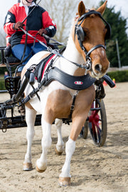 Zilco Driving Harness Zilco SL Harness Single Shetland and Small Pony - with Empathy Breastplate