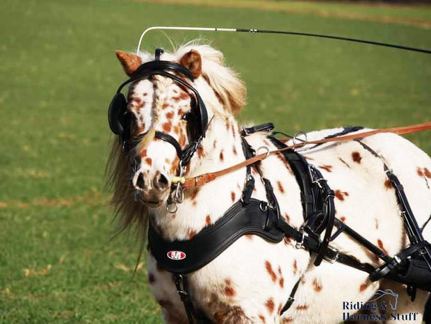 Zilco Driving Harness Zilco SL Harness Single Shetland and Small Pony - with Empathy Breastplate