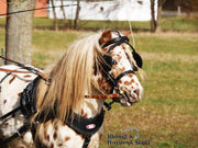 Zilco Driving Harness Zilco SL Harness Single Shetland and Small Pony - with Empathy Breastplate