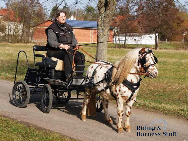 Zilco Driving Harness Zilco SL Harness Single Shetland and Small Pony - with Empathy Breastplate