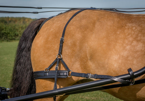 Zilco Driving Harness Zilco SL Plus Breeching