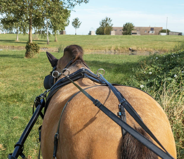 Zilco Driving Harness Zilco SL Plus Crupper