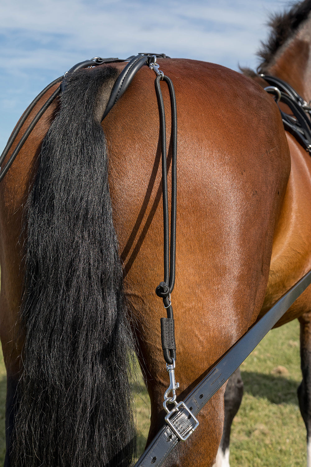 Harness Cruppers and Parts – Riding & Harness Stuff