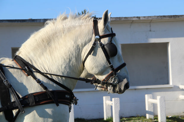 Zilco Driving Harness Zilco WebZ Driving Harness Single