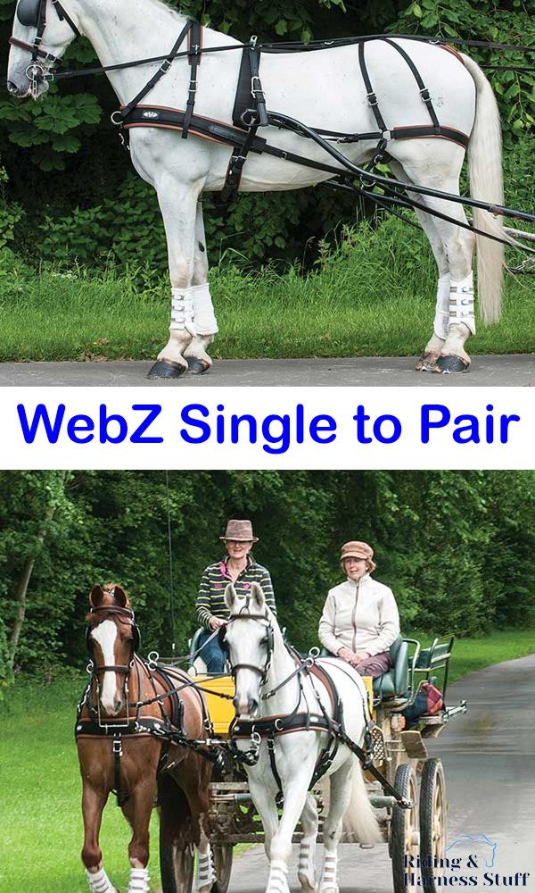 Zilco Zilco WebZ Single to Pair Conversion